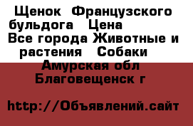 Щенок  Французского бульдога › Цена ­ 35 000 - Все города Животные и растения » Собаки   . Амурская обл.,Благовещенск г.